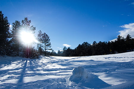 snø, reise, Colorado, Vinter, natur, fjell, skog