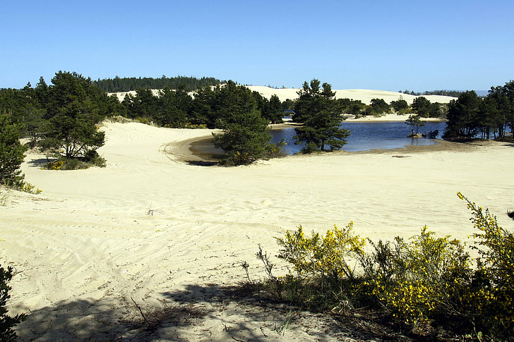 дюни Національний парк, пісок, пагорби, берегової лінії, Орегон, США, Природа