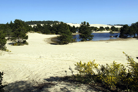 θίνες εθνικό πάρκο, Άμμος, λόφοι, ακτογραμμή, Όρεγκον, ΗΠΑ, φύση