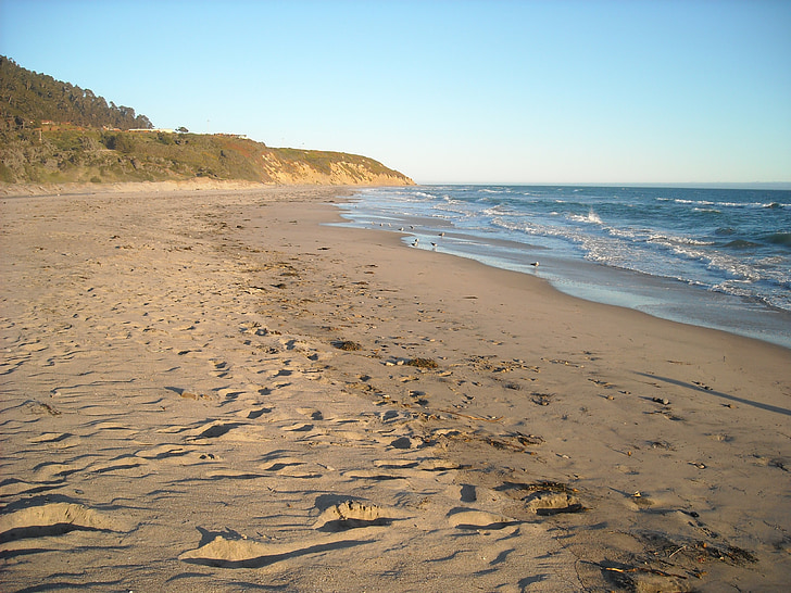 Beach, måger, Ocean, Pacific, Shoreline, Surf, Californien