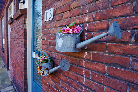 Belanda, Belanda, Amsterdam, Zaandam, bunga, penyiraman, dapat