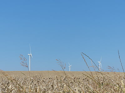 windräder, 風の公園, 風力発電, 風力エネルギー, 夏, フィールド, 穀物