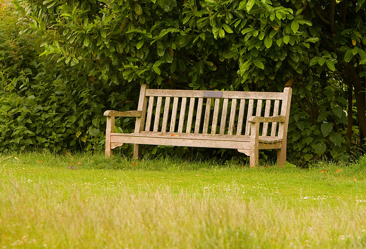 пейка, трева, Грийн, дървен материал, дървени, седалка, парк