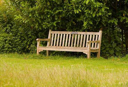bench, grass, green, wood, wooden, seat, park
