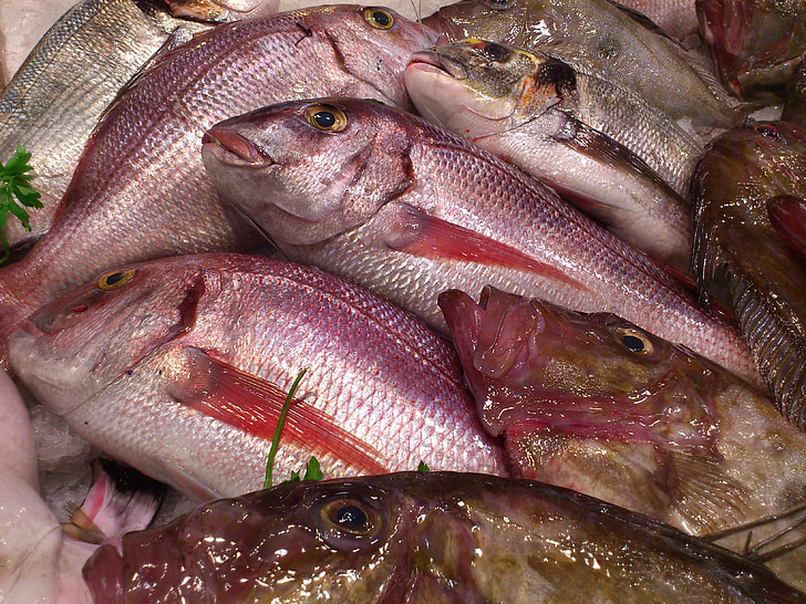 ryby, Rybí trh, jedlo