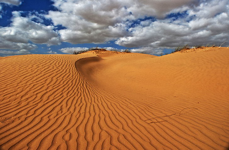 dunes, sable, paysage, ondulations, sec, désert, chaud