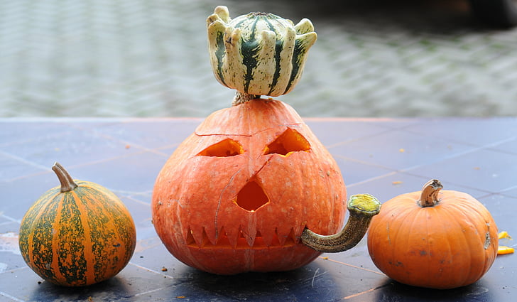 bí ngô, halloween, bí ngô ma quái, màu da cam, Gourd, rau quả, Tháng mười