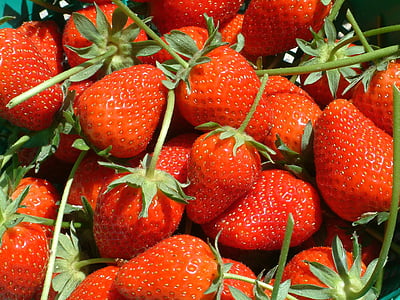 frukt, jordgubbe, röd, efterrätt, sommar, naturen, mat och dryck