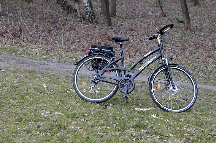 bicicleta, natura, bosc, passejada en bicicleta, gira, bicicleta