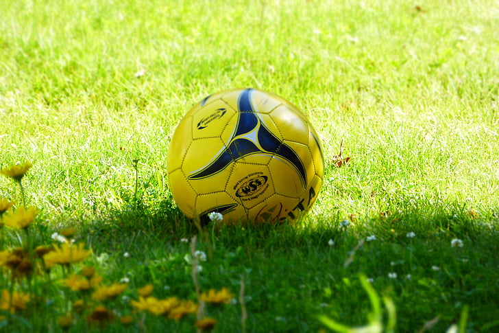 ball, football, leather ball, yellow, green, rush, about