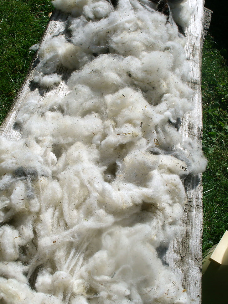 sirove vune, nove vune, ovčje vune, oprati, priroda vune, ovce, schur