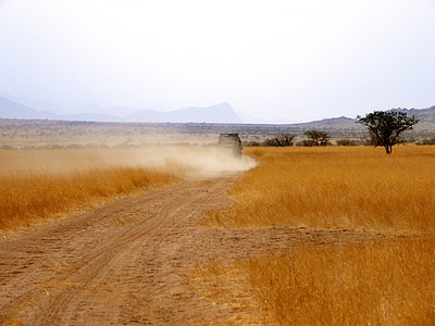 диапазона Роувър, превозно средство, облак от прах, трева, жълта трева, сухо, суха трева