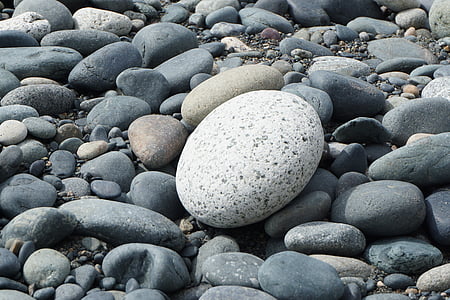 หิน, สีขาว, โอเชี่ยน, วิคตอเรีย, bc, ธรรมชาติ