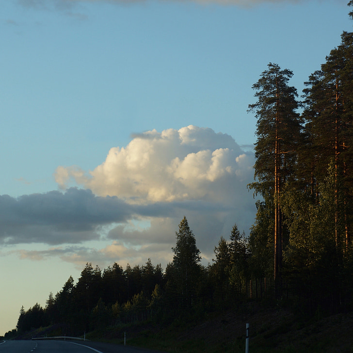 finnish, on the road, twilight, cumulus clouds, trees, road