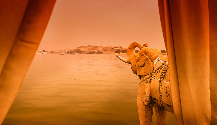 Jag mandir, India, castillo rodeado de agua, elefante, amanecer, animal, camello