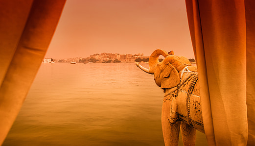 jag mandir, india, moated castle, elephant, dawn, animal, camel