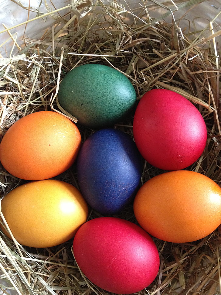 ou, Paste, cuib, ouă de Paşte, ouă colorate, colorate, Paşte fericit
