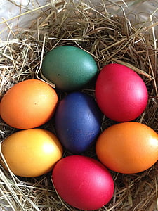 telur, Paskah, sarang, Telur Paskah, telur berwarna, berwarna, Selamat Paskah