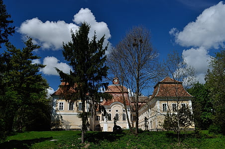 Château, l’Europe, culture, arbre, monument, architecture, bâtiment