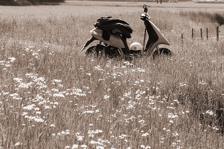 roller, motor scooter, meadow, atmosphere, mood, recovery, nature