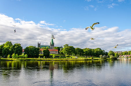 church, trondheim, norway, heritage, cathedral, architecture, river
