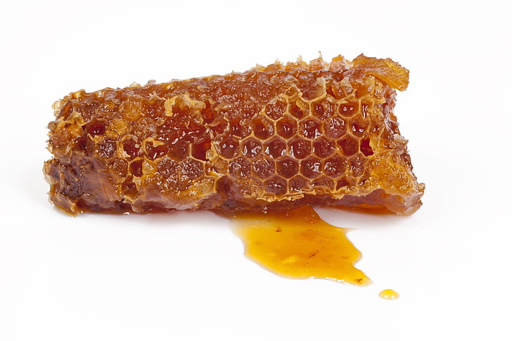 honeycomb, honey, bee, nature, pollination, apiculture, macro