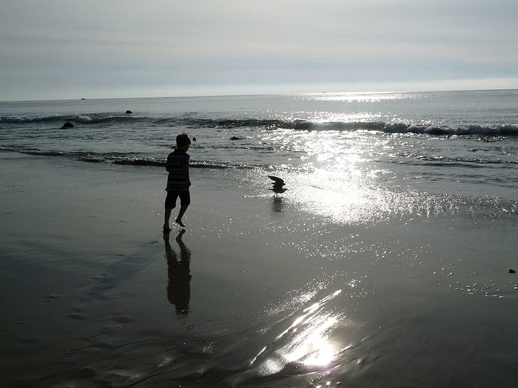 Carlsbad, Californië, strand, aan zee, zonsondergang, Oceaan, kustlijn