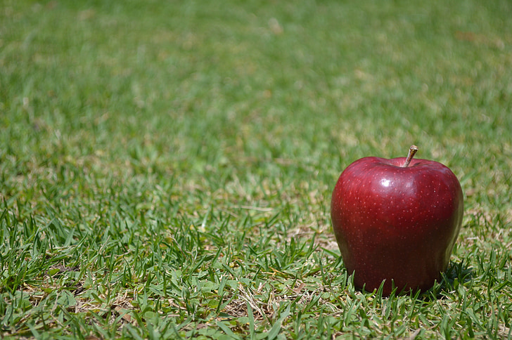 apple, fruit, food, nature, red apple, red, grass