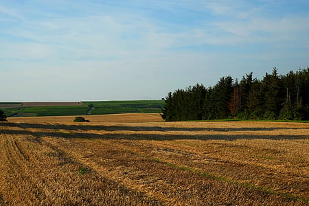 поле, пейзаж, Природа, поля, пахотные земли, Германия, Сельское хозяйство
