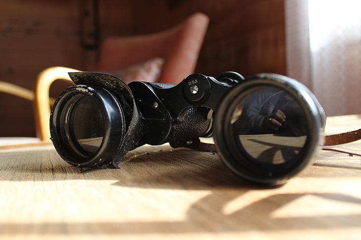 twins, object, binoculars