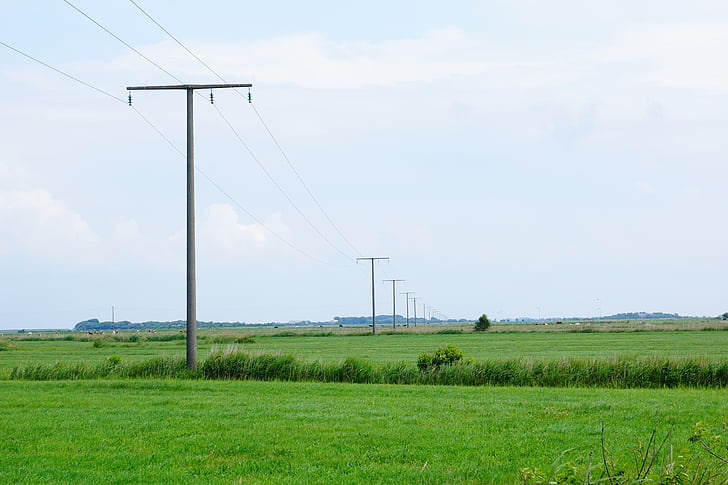 meadow, green, horizon, power poles, power line, electricity