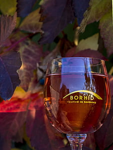 víno, sklo, červené víno, krystal, Zátiší, Modřenec, podzim
