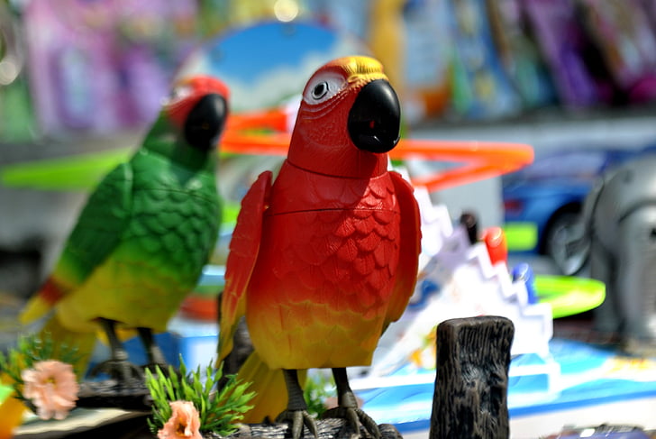 papagájok, játékok, műanyag, mesterséges, játék, szín