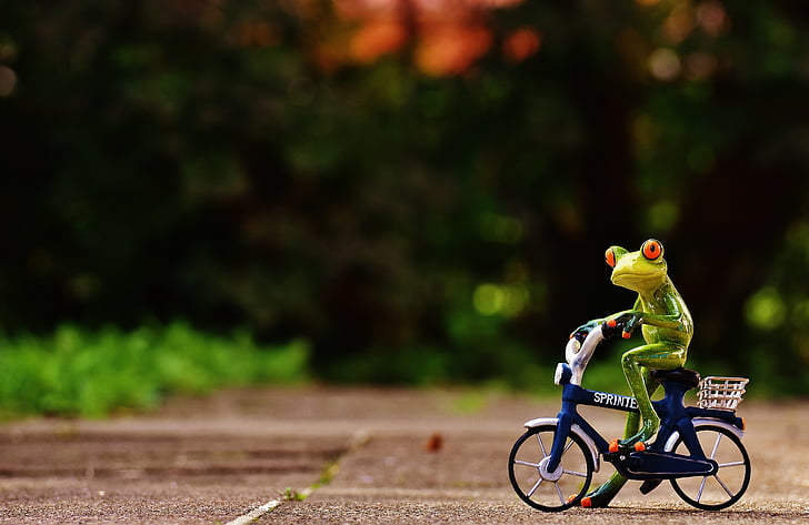 frog, bike, funny, cute, sweet, figure, drive