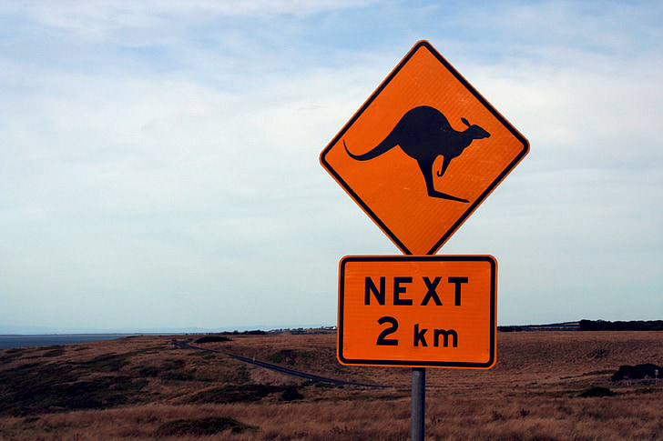 vairogs, ielu zīmes, brīdinājums, Austrālija, ķengurs, zīme, ceļa zīme