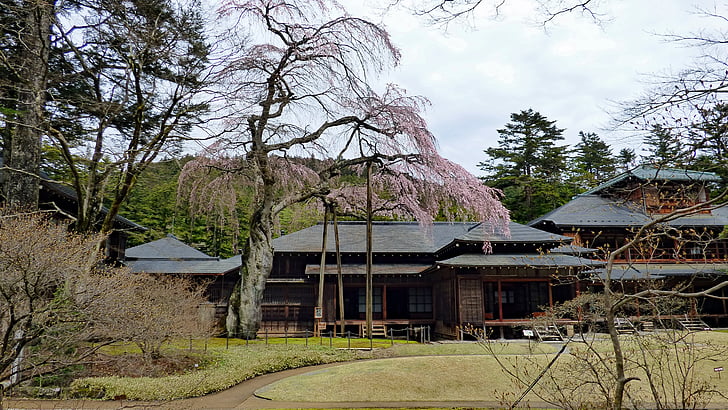 Nikko, Japan, tamozawa imperial villa, kejsaren, Japanska, Cherry blossom, träd