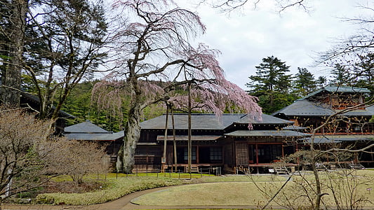 Nikko, Japāna, tamozawa impērijas villa, imperators, Japāņu, ķiršu ziedu, koks