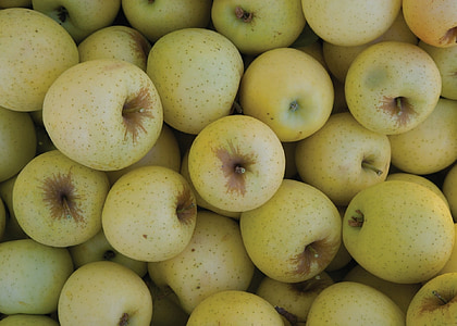 jabuke, zelena, hrana, voće, Poljoprivreda, priroda, svježe