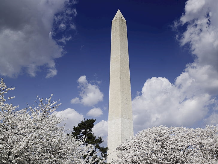 washington monument, cherry trees, blooming, blossoms, springtime, spring, clouds