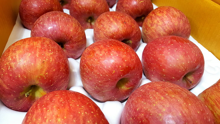 Apple, frugt, rødt apple