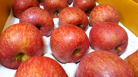Apple, frukt, rött äpple