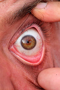 eye, capillaries, eyelashes, eyebrows, pupil, man, fingers