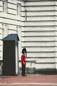 伦敦, 白金汉宫, 游行, 哨兵, 醒的调动, 警卫队, 英国