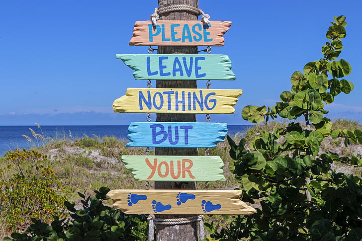 Плакат, пляж, знак, повідомлення, Флорида, англійська, попередження