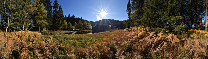 Jezioro, Jezioro Carezza, Jezioro Buhl, krajobraz, panoramy, Waldsee, jesień
