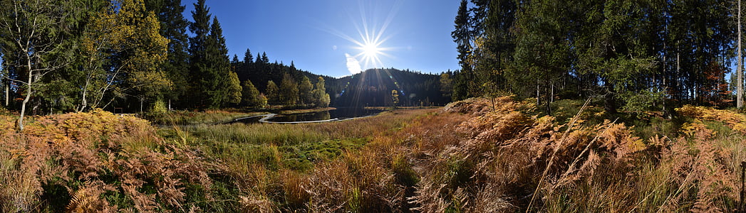 jezero, jezero Carezza, letališča Buhl jezero, krajine, Panorama, Waldsee, jeseni