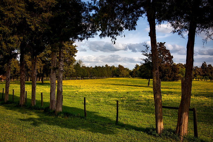 Landscape-pejzaži Alabama-farm-meadow-field-preview