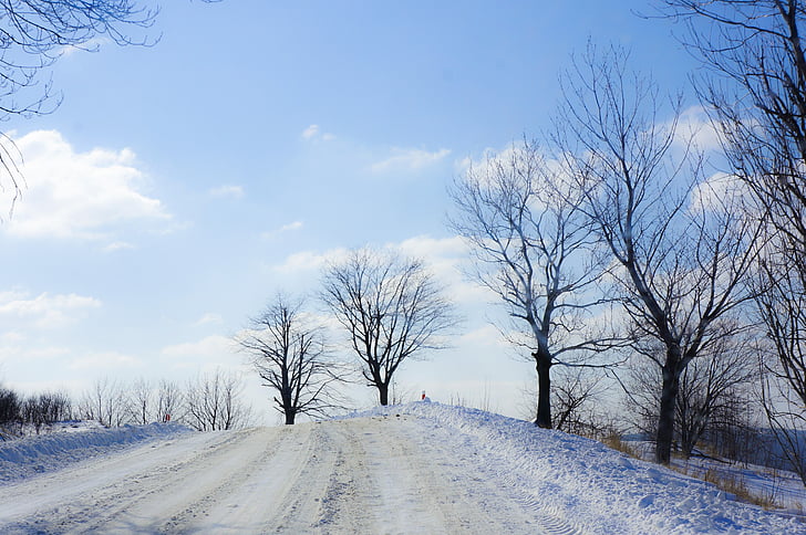 hiver, paysage, arbre, nature, village, neige, Bienne