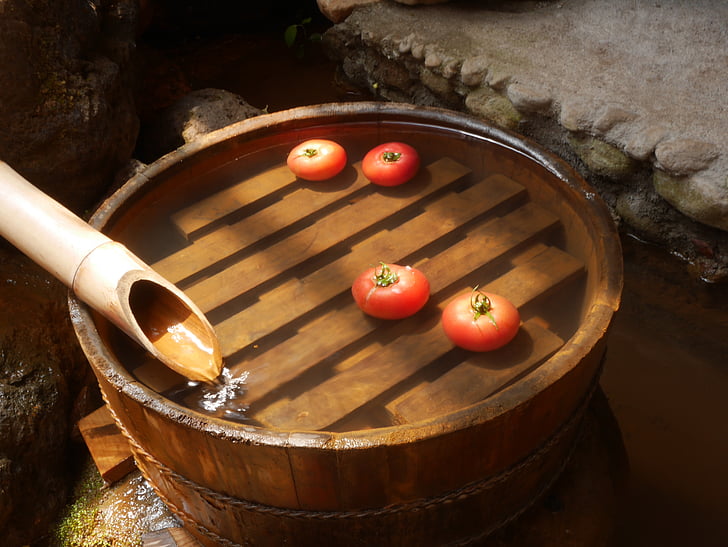 tomato, tub, summer, ryo, water