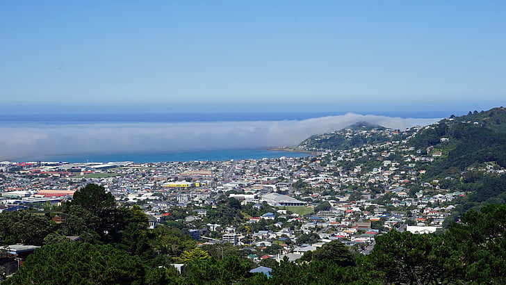 Веллингтон, Маунт Виктория, Новая Зеландия, Северный остров, залив туман, городской пейзаж, переполненный